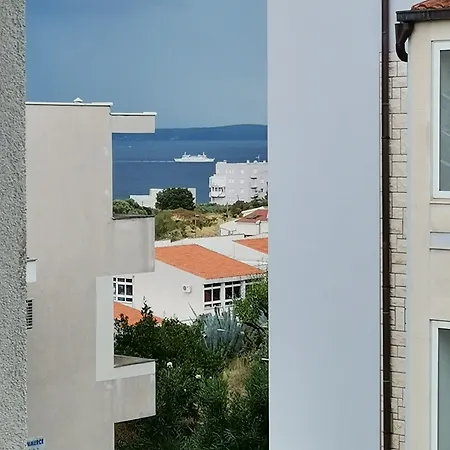 Cordis * 스플리트