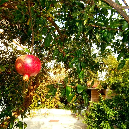 Cordis Апартаменти *